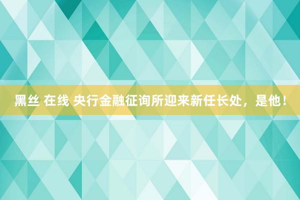 黑丝 在线 央行金融征询所迎来新任长处，是他！