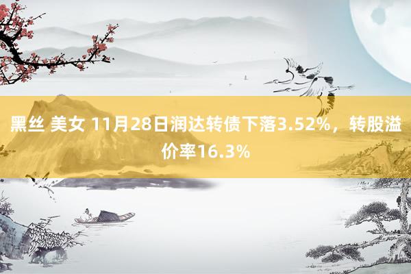 黑丝 美女 11月28日润达转债下落3.52%，转股溢价率16.3%
