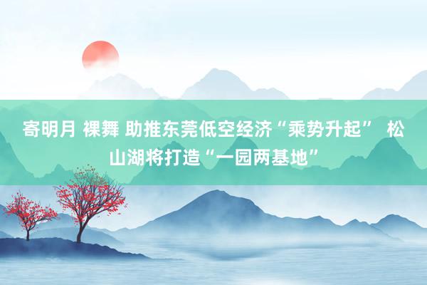 寄明月 裸舞 助推东莞低空经济“乘势升起”  松山湖将打造“一园两基地”