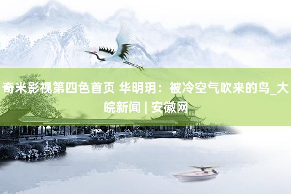 奇米影视第四色首页 华明玥：被冷空气吹来的鸟_大皖新闻 | 安徽网