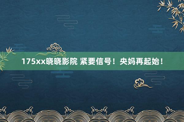 175xx晓晓影院 紧要信号！央妈再起始！