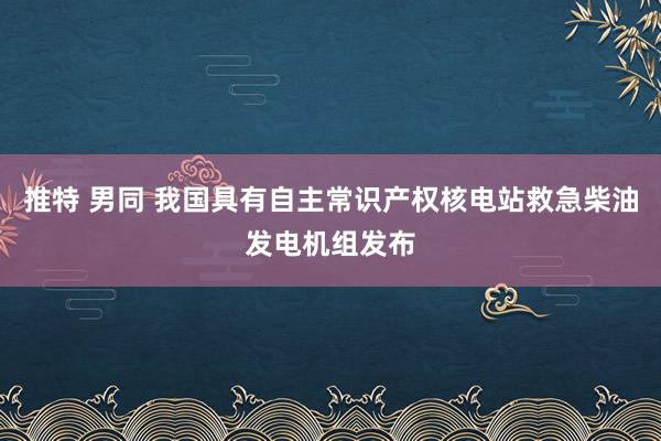 推特 男同 我国具有自主常识产权核电站救急柴油发电机组发布