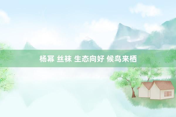 杨幂 丝袜 生态向好 候鸟来栖