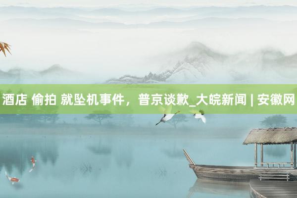 酒店 偷拍 就坠机事件，普京谈歉_大皖新闻 | 安徽网