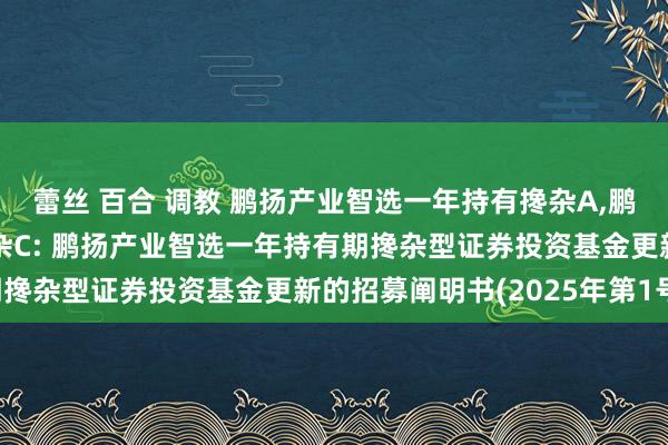 蕾丝 百合 调教 鹏扬产业智选一年持有搀杂A,鹏扬产业智选一年持有搀杂C: 鹏扬产业智选一年持有期搀杂型证券投资基金更新的招募阐明书(2025年第1号)