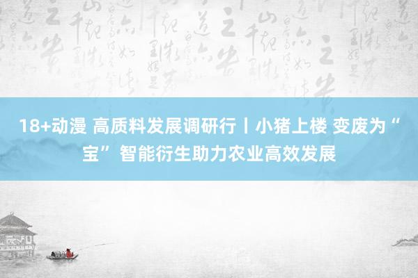 18+动漫 高质料发展调研行丨小猪上楼 变废为“宝” 智能衍生助力农业高效发展