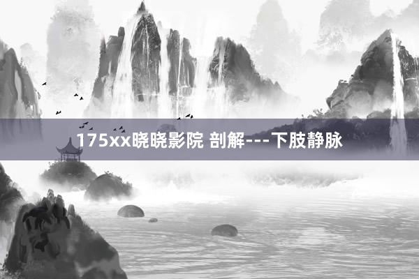 175xx晓晓影院 剖解---下肢静脉